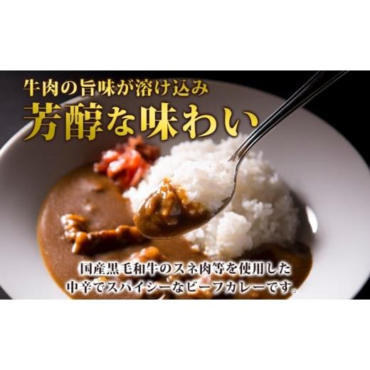 ふるさと納税 惣菜・レトルト 埼玉県 蓮田市 銀座さとうビーフカレー200g×10個入 中辛 国産 黒毛和牛 バラ肉 モモ肉 牛肉 惣菜 オリジナル レトルトカレー ス…_2