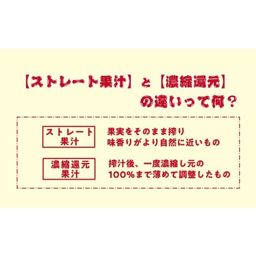 ふるさと納税 果汁飲料 りんご 長野県 飯綱町  農家さん ／ 品種 ／ おまかせ 飯綱町の農家さん 自慢の りんごジュース 詰め合わせ 12本 ( 1本：500〜1000ml …の画像