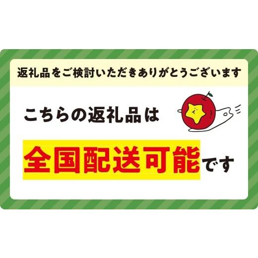 ふるさと納税 果汁飲料 りんご 長野県 飯綱町  農家さん ／ 品種 ／ おまかせ 飯綱町の農家さん 自慢の りんごジュース 詰め合わせ 12本 ( 1本：500〜1000ml …の画像