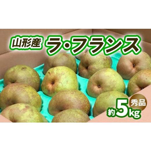 ふるさと納税 梨 山形県 山形市 ラ・フランス 約5kg 秀品 (10〜16玉) 3L〜6L 11月発送 令和8年産先行予約 FS25-742