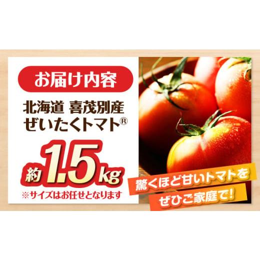 ふるさと納税 野菜類 トマト 北海道 喜茂別町 2025年分予約開始