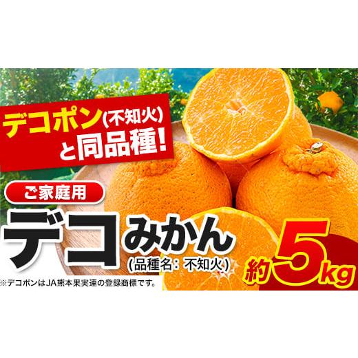 ふるさと納税 果物類 みかん 熊本県 荒尾市 不知火 デコみかん ( デコポン と同品種 ) 不知火 ご家庭用 熊本県産 ( 荒尾市産含む ) 訳あり 約 5kg (12-24玉前…