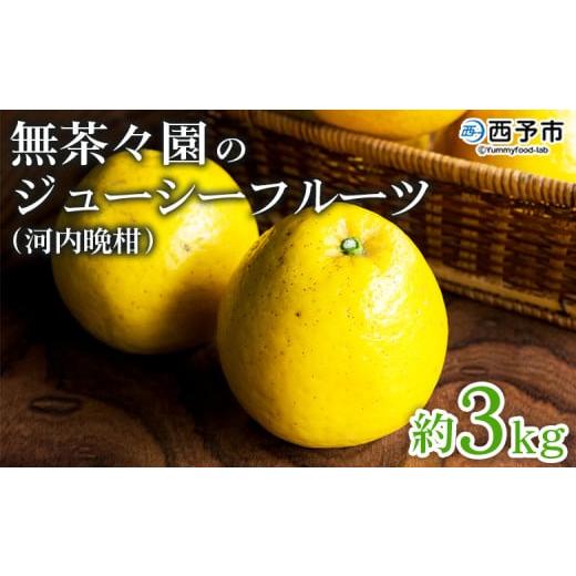 ふるさと納税 果物類 みかん 愛媛県 西予市 無茶々園のジューシーフルーツ(河内晩柑)約3kg 果物 フルーツ 選べる内容量 かわちばんかん みかん ミカン 蜜柑…