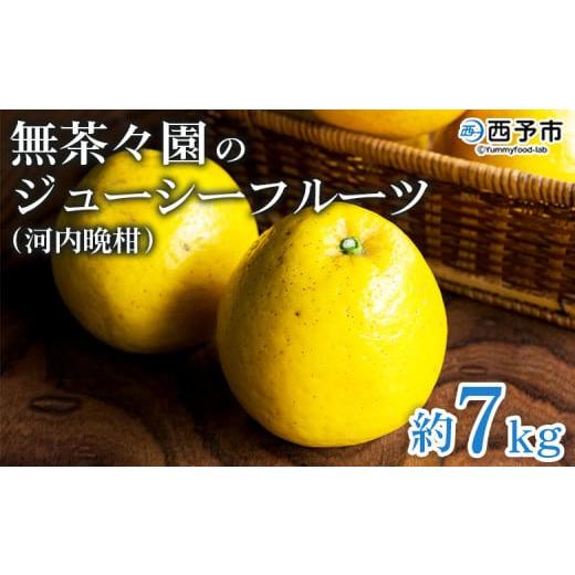 ふるさと納税 果物類 みかん 愛媛県 西予市 無茶々園のジューシーフルーツ(河内晩柑)約7kg 果物 フルーツ 選べる内容量 かわちばんかん みかん ミカン 蜜柑…