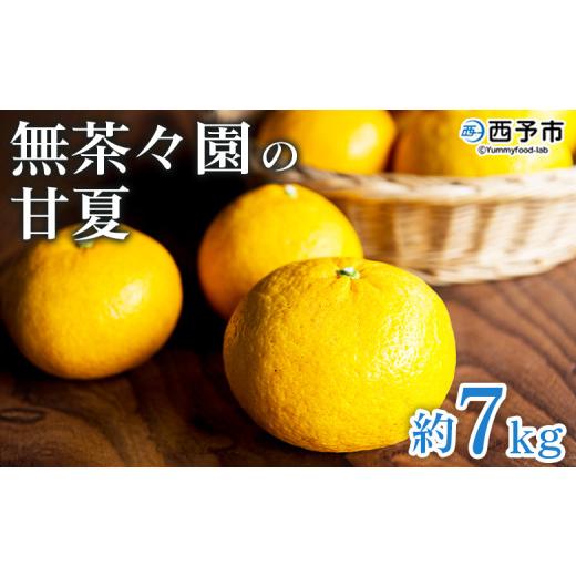 ふるさと納税 みかん・柑橘類 愛媛県 西予市 無茶々園の甘夏 約7kg 果物 あまなつ みかん ミカン 蜜柑 柑橘 フルーツ 期間限定 季節限定 食べて応援 特産品 …