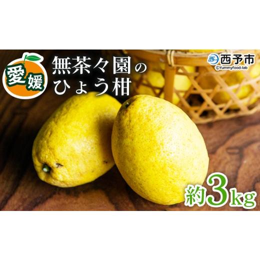 ふるさと納税 みかん・柑橘類 愛媛県 西予市 先行予約 無茶々園のひょう柑 約3kg 果物 みかん ミカン 蜜柑 柑橘 フルーツ ひょうかん 弓削瓢柑 特産品 愛媛県…
