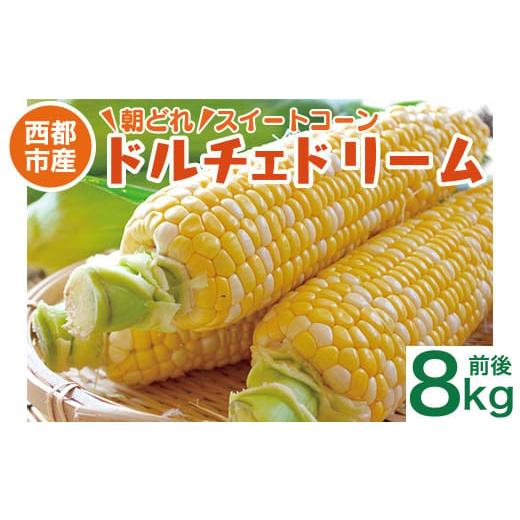 ふるさと納税 とうもろこし 宮崎県 西都市 初夏の味覚 鮮度が命 村田さん家の朝どれスイートコーン『ドルチェドリーム』8kg前後 生産者直送 5月発送開始 先行…