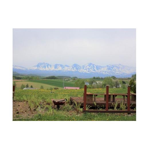 ふるさと納税 木工品・竹工品 北海道 美瑛町 貴妃花 おもちゃセット｜工芸品 木製品 木 手作り アート インテリア おもちゃ 玩具 日用品 美瑛 北海道 045-15_2