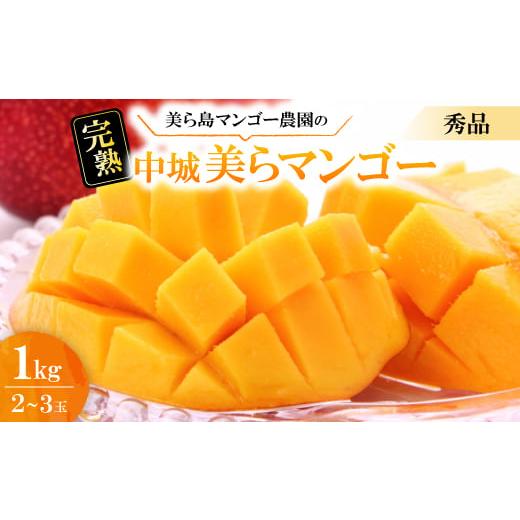 ふるさと納税 マンゴー 沖縄県 中城村 2026年6月から順次発送・贈答用 美ら島マンゴー農園の完熟中城美らマンゴー秀品1kg(2〜3玉) 1672805