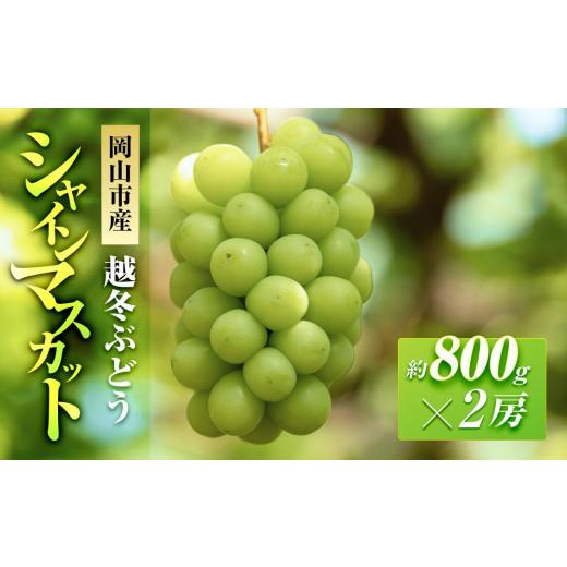 ふるさと納税 ぶどう マスカット 岡山県 岡山市 五果苑 越冬ぶどう シャインマスカット 2房（1房約800g） | フルーツ 果物 くだもの シャインマスカット マス…の画像