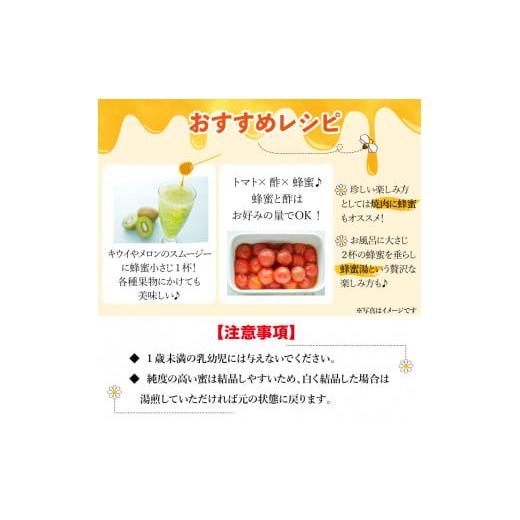 ふるさと納税 加工品等 はちみつ 岩手県 滝沢市 国産 純粋 滝沢鵜飼はちみつ アカシア 百花蜜 500ml 各1本 たきざわキッチン はちみつ ハチミツ 蜂蜜 ハニー …の画像