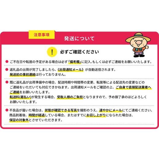 ふるさと納税 モツ鍋 福岡県 赤村 楽観主義地 生みの親もつ鍋仕かける 2~3人用 3A1