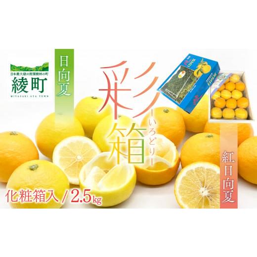 ふるさと納税 みかん・柑橘類 宮崎県 綾町 紅日向夏と日向夏の彩り箱 2.5kg / 日向夏 ひゅうがなつ 柑橘 フルーツ 綾町 宮崎県