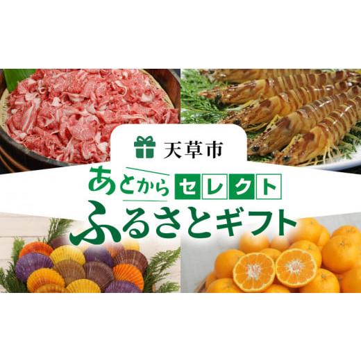 ふるさと納税 ポイント 熊本県 天草市 S999-007_あとからセレクト ふるさとギフト ７万円の画像