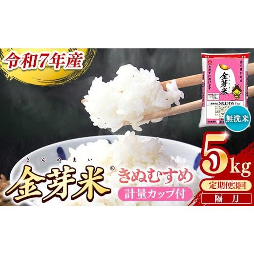 ふるさと納税 米 きぬむすめ 島根県 安来市 BG無洗米・金芽米きぬむすめ 5kg×3回 定期便 隔月 計量カップ付き 令和7年産 2ヶ月に1回 6ヶ月 計15kg 東洋ライス…