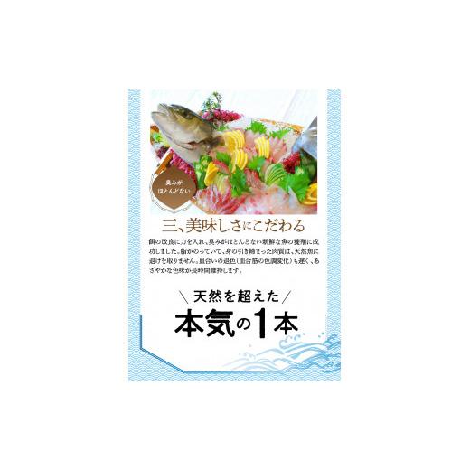 ふるさと納税 旬の鮮魚等 宮崎県 延岡市  大和海商 大和カンパチの切り身約600g N072-YA3339