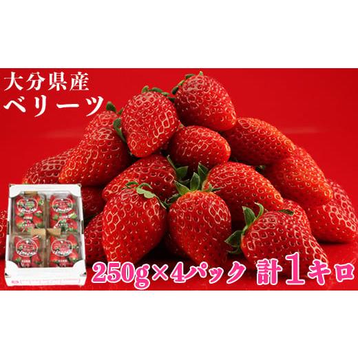 ふるさと納税 いちご 大分県 杵築市 2月発送 大分県産 ベリーツ 約1kg(約250g×4パック)/ いちご イチゴ 1kg 先行予約 2月 甘い フルーツ 苺 スイーツ 133…