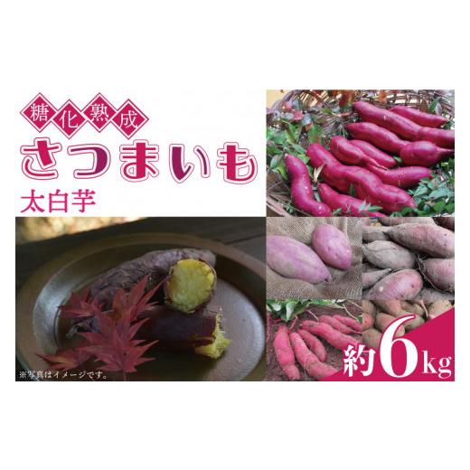 ふるさと納税 栃木県 益子町 AU001-4 糖化熟成さつまいも 約6kg 太白芋