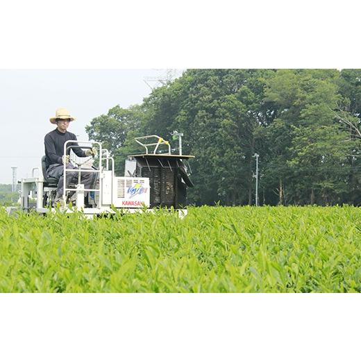 ふるさと納税 お茶類 緑茶（茶葉・ティーバッグ） 埼玉県 三芳町 三芳町産狭山茶詰め合わせ （高級煎茶100g×3本、特選煎茶100g×2本） 銘茶 煎茶 緑茶 お茶 …_3