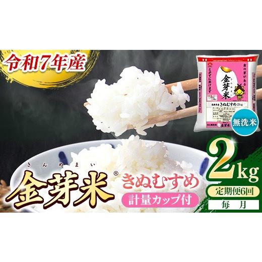 ふるさと納税 米 きぬむすめ 島根県 安来市 定期便 BG無洗米・金芽米きぬむすめ 2kg×6ヵ月 (毎月)計量カップ付き 令和7年産 6ヶ月 時短 健康 米 BG 無洗米…