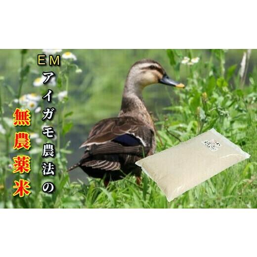 ふるさと納税 米 ミルキークイーン 岩手県 一関市 令和7年産 新米 EMかもちゃん米 10kg(5kg×2)(玄米)