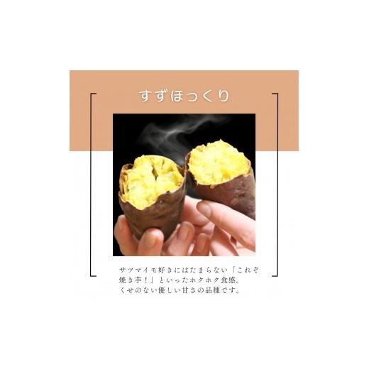 ふるさと納税 野菜類 サツマイモ 茨城県 鉾田市 米川農園 佐之衛門 の 焼き芋 食べ比べセット 紅はるか （400g×2袋）×すずほっくり （400ｇ×2袋） 計1600g …の画像