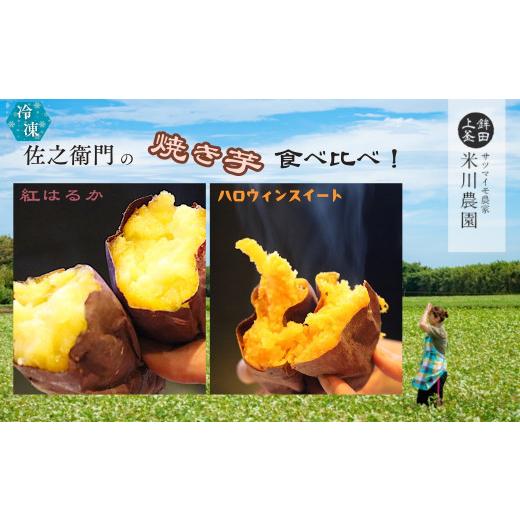 ふるさと納税 野菜類 サツマイモ 茨城県 鉾田市 米川農園 佐之衛門 の 焼き芋 食べ比べセット 紅はるか （400g×2袋）×ハロウィンスイート （400ｇ×2袋） 計…の画像