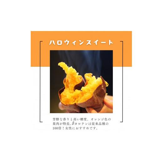 ふるさと納税 野菜類 サツマイモ 茨城県 鉾田市 米川農園 佐之衛門 の 焼き芋 食べ比べセット 紅はるか （400g×2袋）×ハロウィンスイート （400ｇ×2袋） 計…の画像
