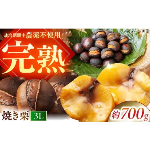 ふるさと納税 果物類 栗 愛媛県 内子町 完熟 石畳栗 焼き栗 3Lサイズ 700g / 栗 くり 焼き栗 国産 熟成 完熟栗 人気栗 美味しい 愛媛県栗 マロン 美味しいマ…