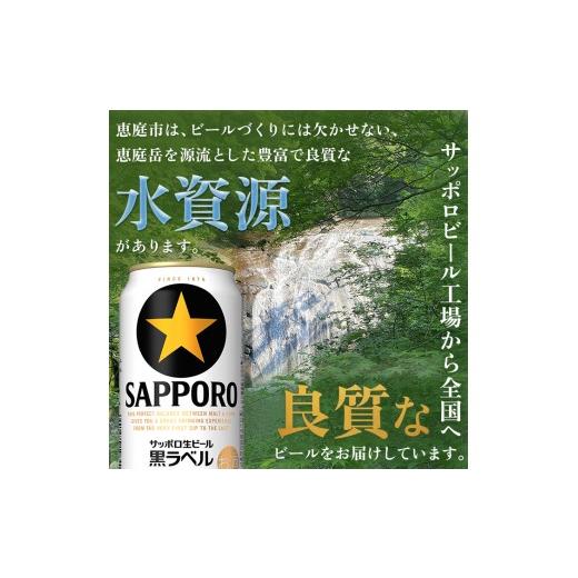 ふるさと納税 ビール 北海道 恵庭市 『定期便：全3回』黒ラベル350ml×24本 300040811903の画像