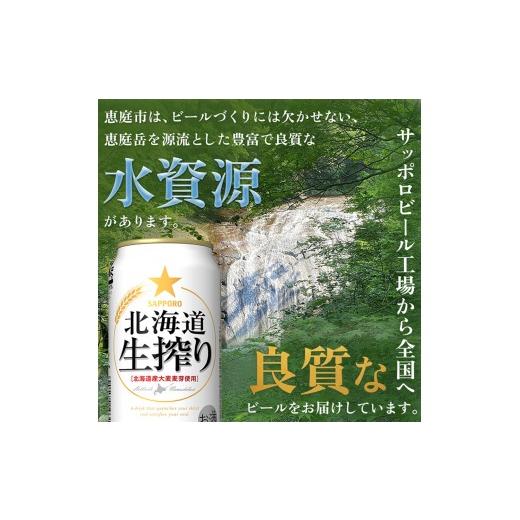 ふるさと納税 ビール 北海道 恵庭市 『定期便：全3回』北海道生搾り350ml×24本 300080231903の画像