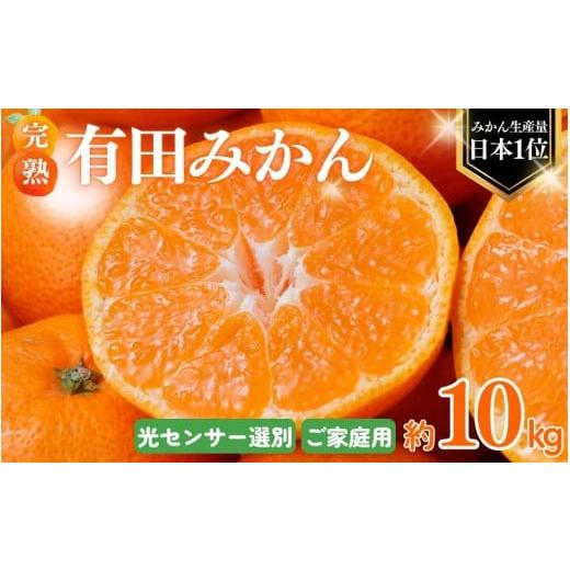 ふるさと納税 果物類 みかん 和歌山県 北山村 2026年1月発送予約分 光センサー選別 農家直送 こだわりの 完熟 有田みかん 約10kg+250g(傷み補償分) ご家庭用…
