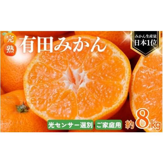ふるさと納税 果物類 みかん 和歌山県 北山村 2026年1月発送予約分 ＼光センサー選別/農家直送 こだわりの 有田みかん 約8kg+250g(傷み補償分) ご家庭用 1…