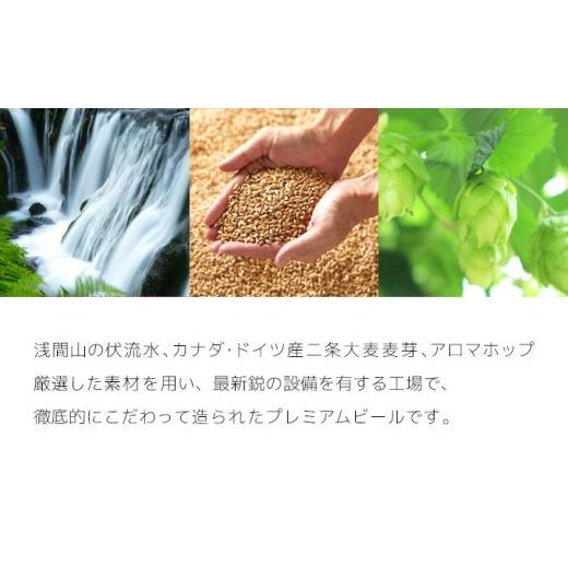 ふるさと納税 ビール 地ビール 長野県 佐久市  12ヶ月定期便 クラフトビール THE軽井沢ビール 8種 24缶 飲み比べセット 地ビール ビール 軽井沢ブルワリー 350…_5