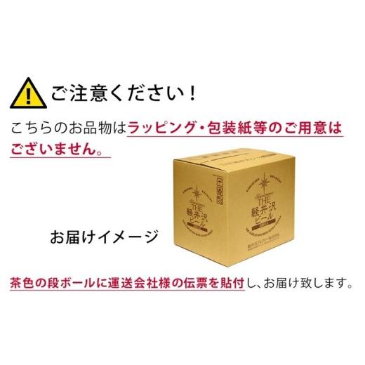 ふるさと納税 ビール 地ビール 長野県 佐久市  12ヶ月定期便 クラフトビール THE軽井沢ビール 8種 24缶 飲み比べセット 地ビール ビール 軽井沢ブルワリー 350…_8