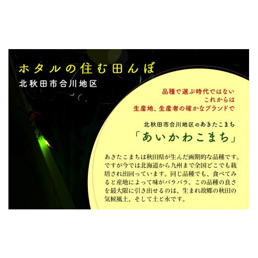 秋冬の主役◎ ふるさと納税 秋田県 北秋田市 《定期便12ヶ月》＜新米＞秋田県産 あきたこまち 10kg【白米】(5kg小分け袋) 令和5年産 配送時期選べる 隔月お届けOK お米 あい… 【EIM1461636944】(51480円)