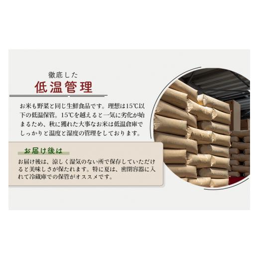 秋冬の主役◎ ふるさと納税 秋田県 北秋田市 《定期便12ヶ月》＜新米＞秋田県産 あきたこまち 10kg【白米】(5kg小分け袋) 令和5年産 配送時期選べる 隔月お届けOK お米 あい… 【EIM1461636944】(51480円)