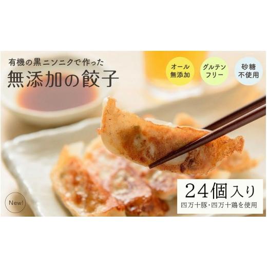 ふるさと納税 餃子 高知県 須崎市 黒 にんにく と 四万十豚 で作った 最高級餃子 ( 6個入り × 4 パック ) 餃子 ギョーザ 焼き餃子 やきぎょうざ ぎょーざ …