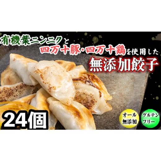 ふるさと納税 惣菜・レトルト 冷凍 高知県 須崎市 有機 葉 ニンニク と 四万十豚 で作った 最高級 餃子 ( 6個入り x 4パック )ぎょうざ ギョウザ にんにく …