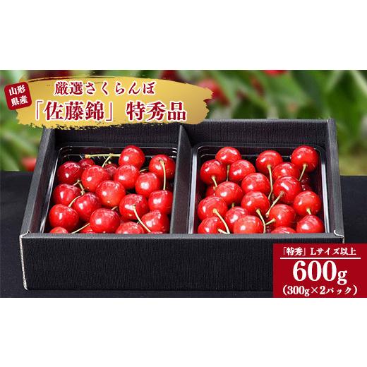 ふるさと納税 山形県 寒河江市 令和6年産 特秀品 さくらんぼ「 佐藤錦 」600g (300g×2パック) Lサイズ以上 2024年産 山形県産 山形産 【2024年6月中旬頃〜下… 令和6年産 特秀品 さくらんぼ 佐藤錦 600g 300g×2パック Lサイズ以上 山形県産
