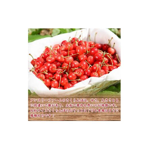 ふるさと納税 山形県 寒河江市 令和6年産 特秀品 さくらんぼ「 佐藤錦 」600g (300g×2パック) Lサイズ以上 2024年産 山形県産 山形産 【2024年6月中旬頃〜下… 令和6年産 特秀品 さくらんぼ 佐藤錦 600g 300g×2パック Lサイズ以上 山形県産