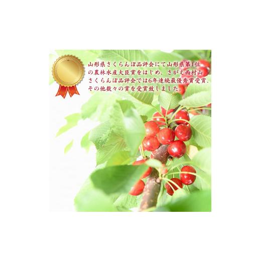 ふるさと納税 山形県 寒河江市 令和6年産 特秀品 さくらんぼ「 佐藤錦 」600g (300g×2パック) Lサイズ以上 2024年産 山形県産 山形産 【2024年6月中旬頃〜下… 令和6年産 特秀品 さくらんぼ 佐藤錦 600g 300g×2パック Lサイズ以上 山形県産