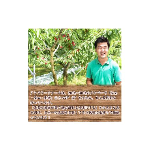 ふるさと納税 山形県 寒河江市 令和6年産 特秀品 さくらんぼ「 佐藤錦 」600g (300g×2パック) Lサイズ以上 2024年産 山形県産 山形産 【2024年6月中旬頃〜下… 令和6年産 特秀品 さくらんぼ 佐藤錦 600g 300g×2パック Lサイズ以上 山形県産