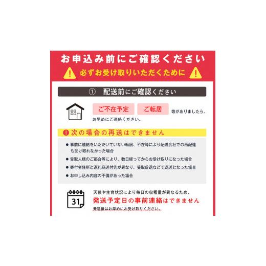 ふるさと納税 山形県 寒河江市 令和6年産 特秀品 さくらんぼ「 佐藤錦 」600g (300g×2パック) Lサイズ以上 2024年産 山形県産 山形産 【2024年6月中旬頃〜下… 令和6年産 特秀品 さくらんぼ 佐藤錦 600g 300g×2パック Lサイズ以上 山形県産