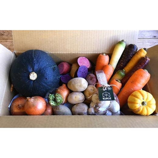 ふるさと納税 セット・詰合せ 北海道 上富良野町 令和8年産 上富良野産 秋の オーガニック お野菜 セット 詰合せ 約3.5〜5kg じゃがいも 根菜 有機野菜 産地…