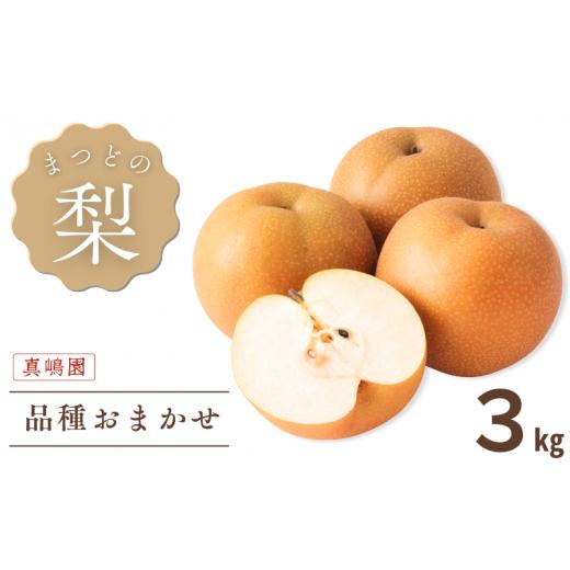 ふるさと納税 千葉県 松戸市 CC012[真嶋園]松戸の完熟梨 品種おまかせ 3kg