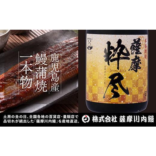 ふるさと納税 鹿児島県 薩摩川内市 BS-119 鹿児島県産うなぎ蒲焼&amp;芋焼酎キ゛フトセット