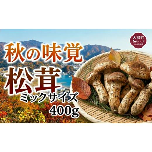 ふるさと納税 野菜類 きのこ 岩手県 大槌町 《先行予約》 令和8
