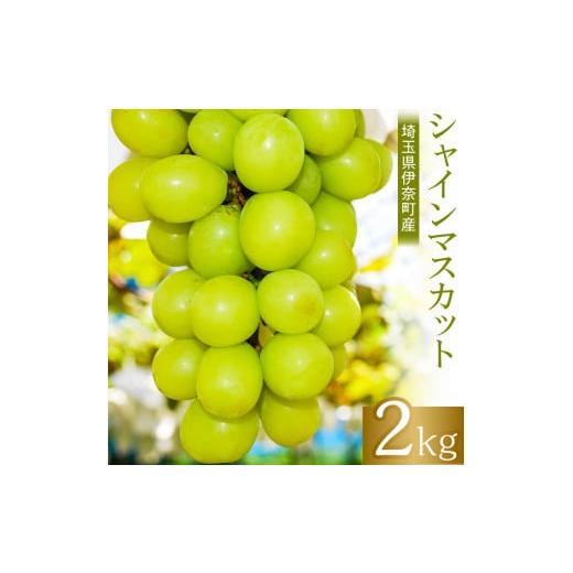 ふるさと納税 ぶどう マスカット 埼玉県 伊奈町 2026年産先行予約 埼玉県伊奈町産 シャインマスカット 2kg /山岸農園 ブドウ ぶどう 葡萄 果物 フルーツ 数…