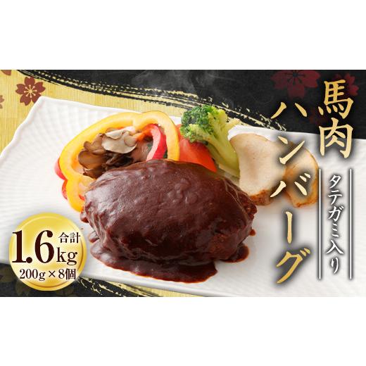 ふるさと納税 熊本県 相良村 タテガミ入り 馬肉 ハンバーグ デミソース 8個 セット 計1.6kg